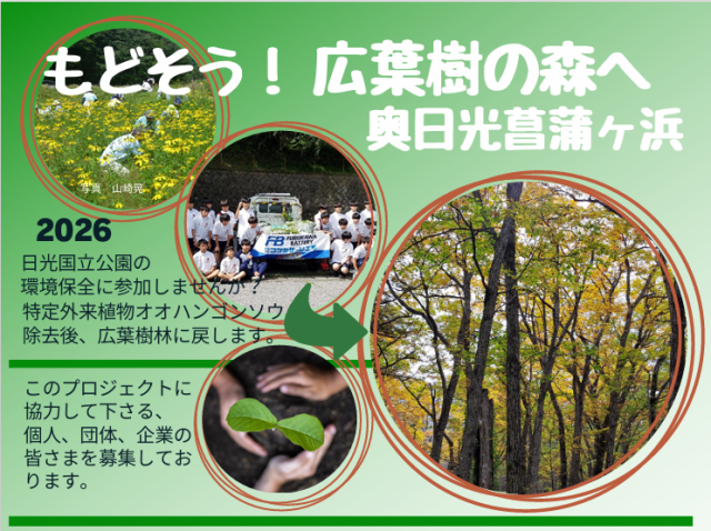 もどぞう！広葉樹の森へ　奥日光菖蒲ヶ浜